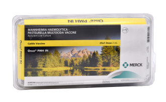 Bovilis® Once PMH® IN, 50 Dose