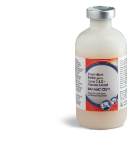 Bar-Vac® CD/T, 10 Dose