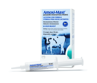 Amoxi-Mast®, 12 Count