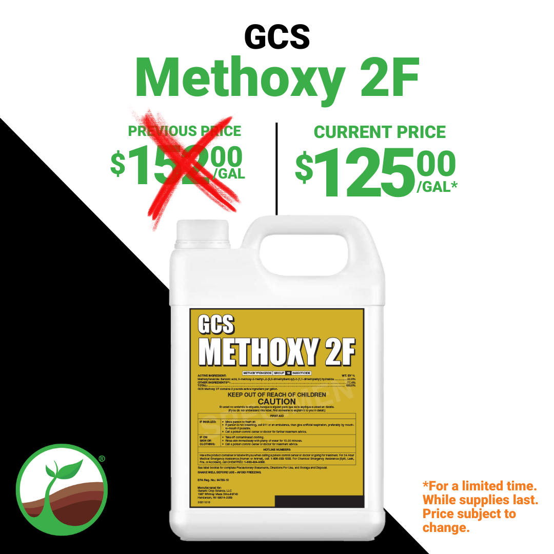 Methoxy 2F Jug